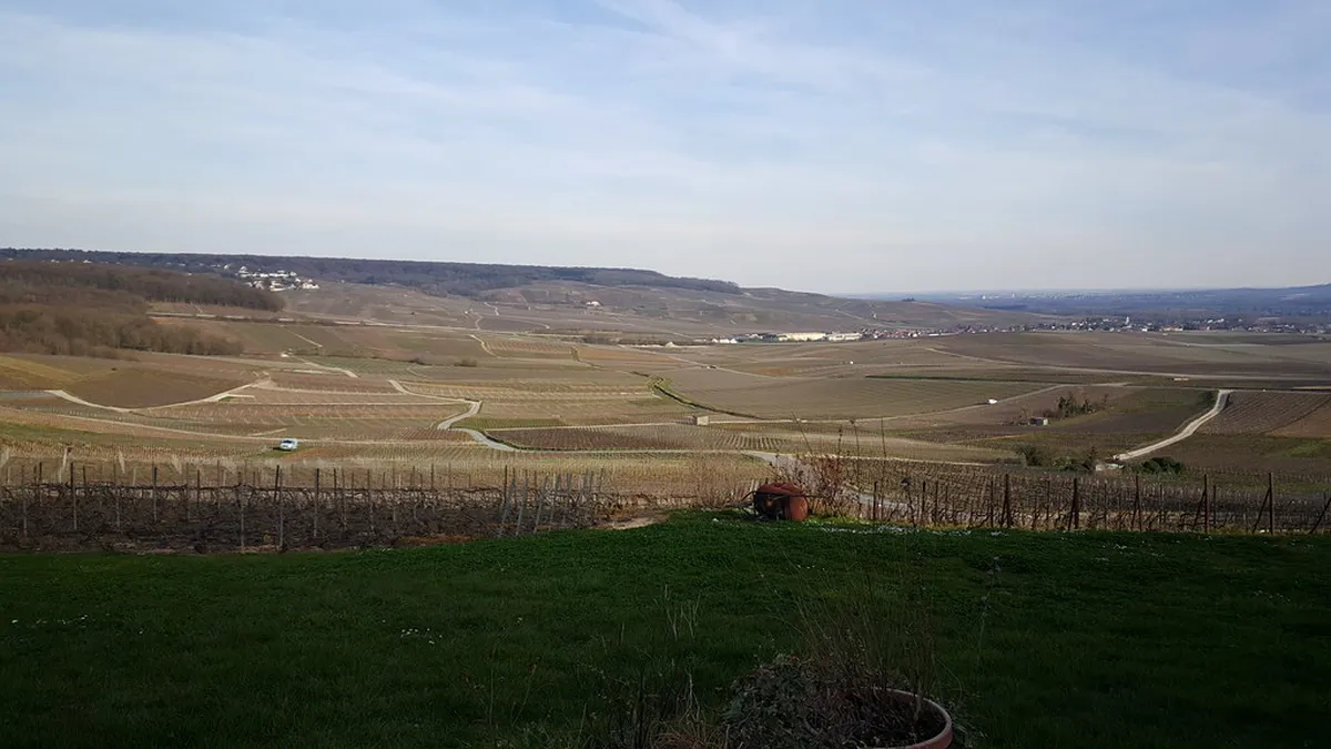 Introduction to épernay