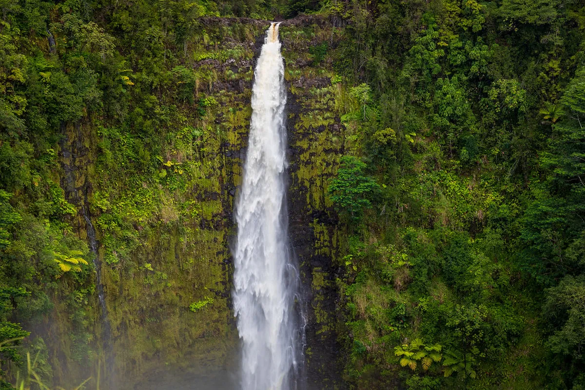 Akaka Falls State Park