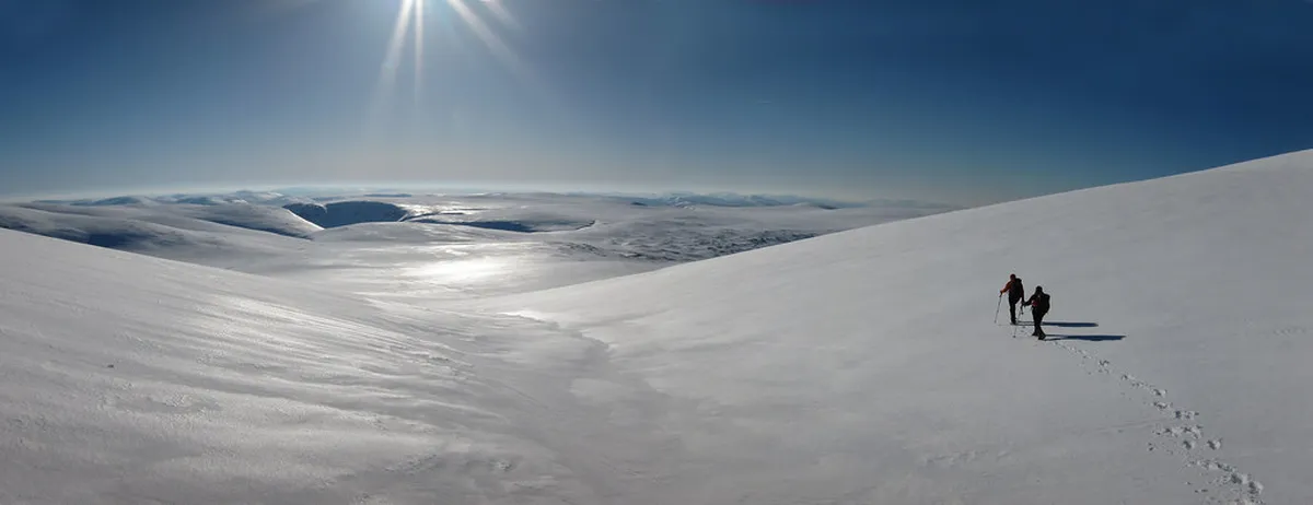 Arctic Wilderness