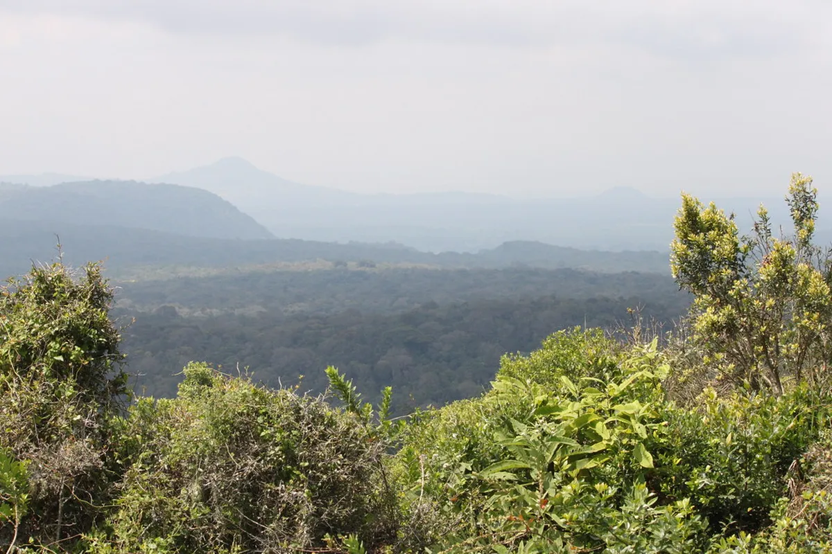 Arusha National Park
