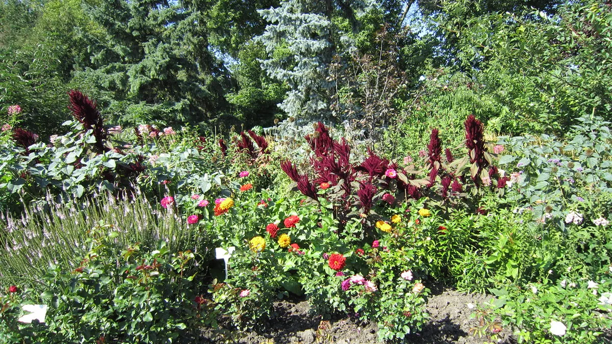 Assiniboine Park
