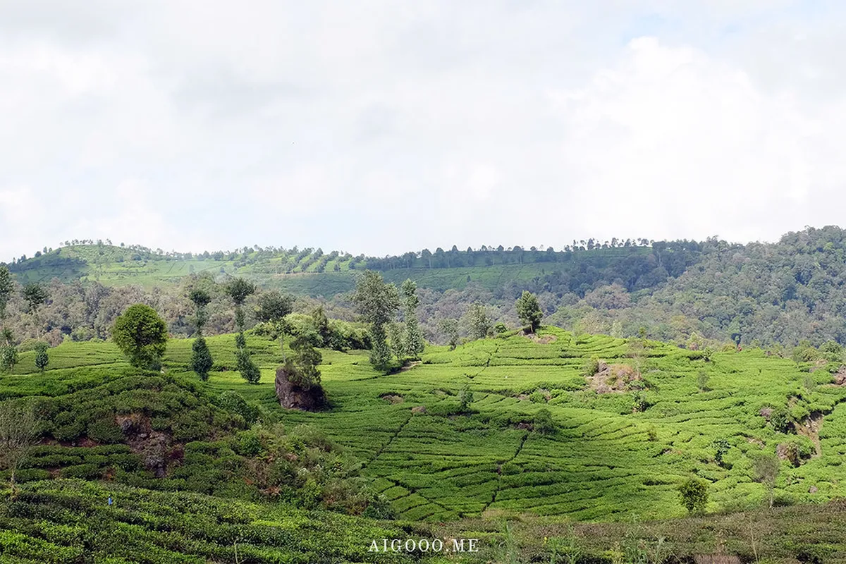 Introduction to bandung