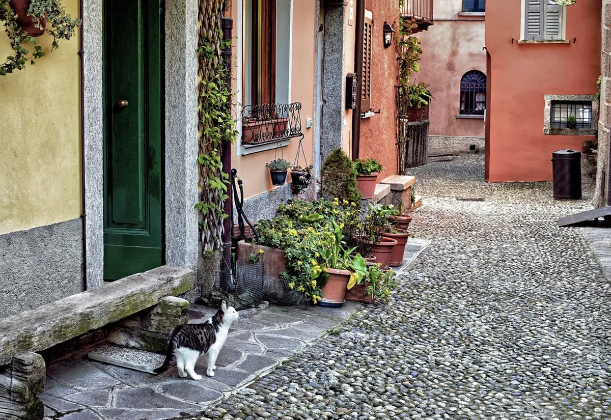 Bellagio Village