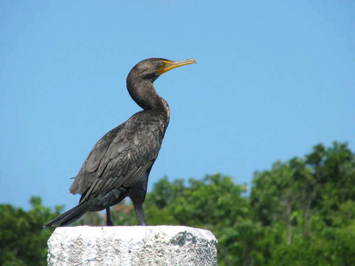 Biscayne National Park