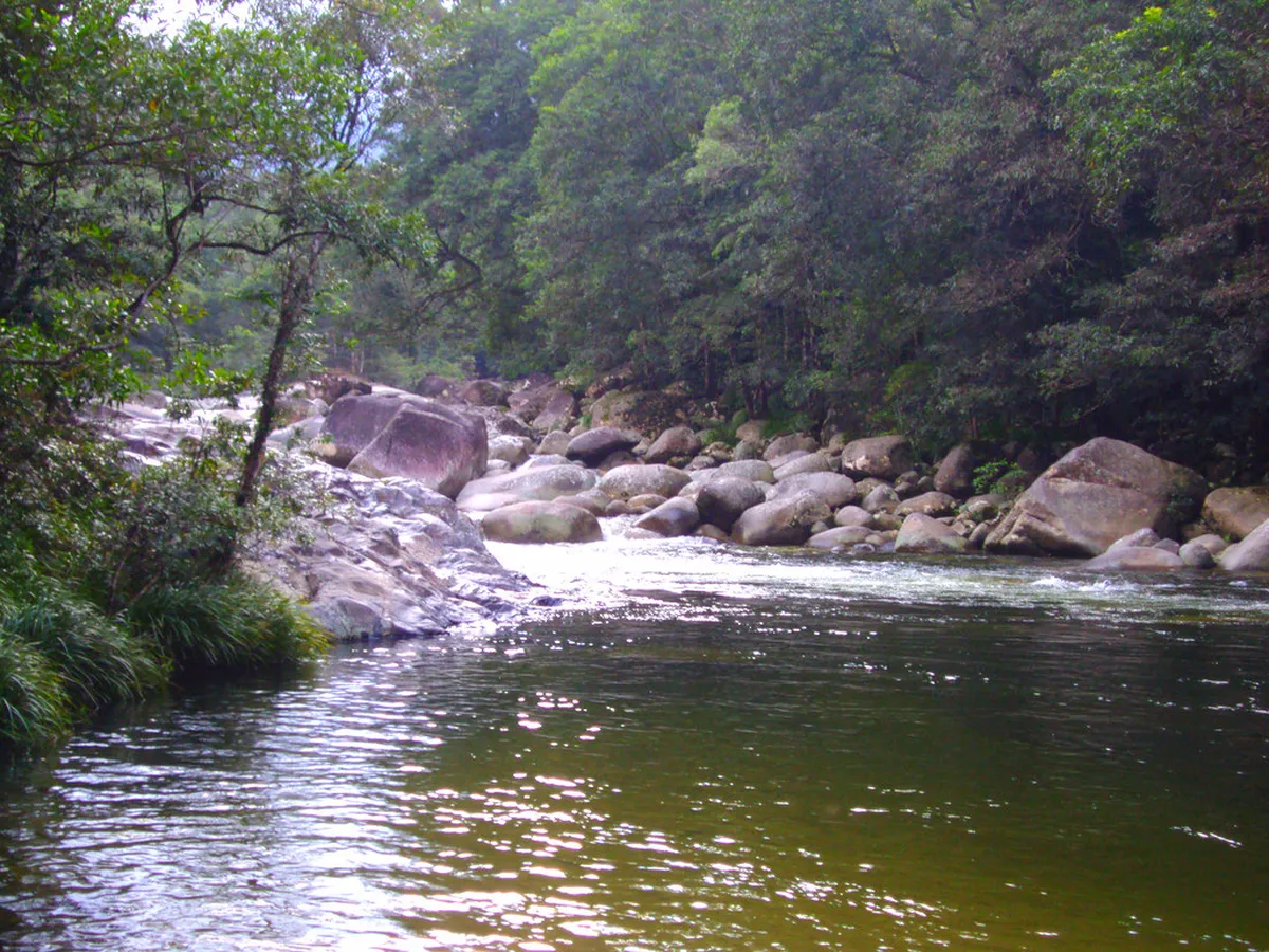 Black River Gorges National Park