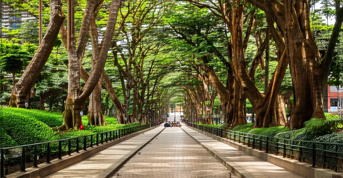 Belo Horizonte Itinerary: 5 Days of Adventure