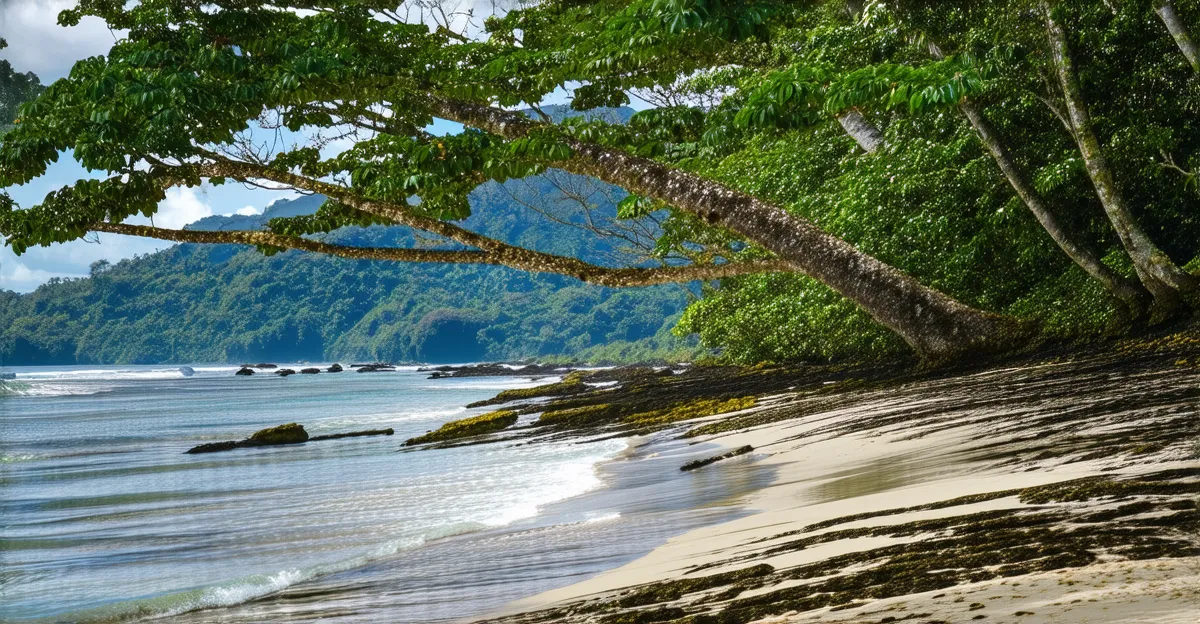 Quepos Itinerary: 3 Days of Adventure
