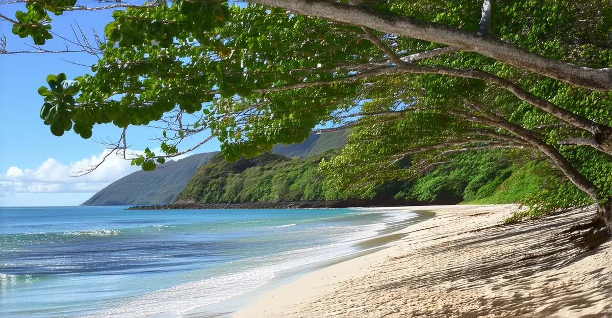 Rincón Itinerary: Your Guide to a Memorable Trip in 2025
