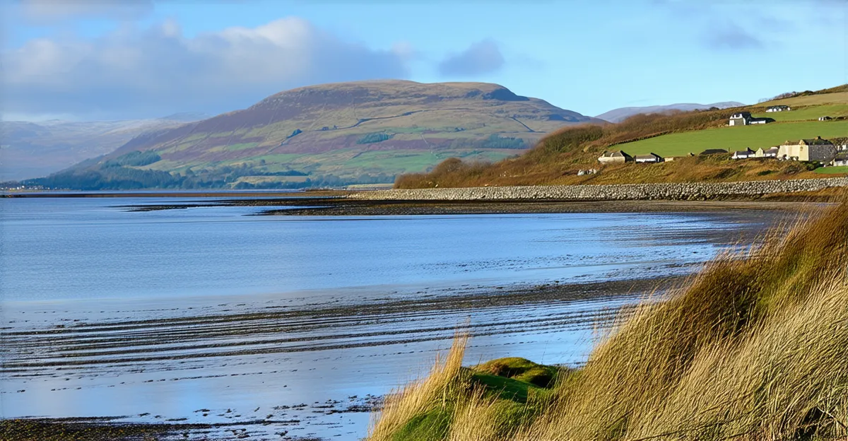 Tralee Itinerary: Discover the Best of 2025