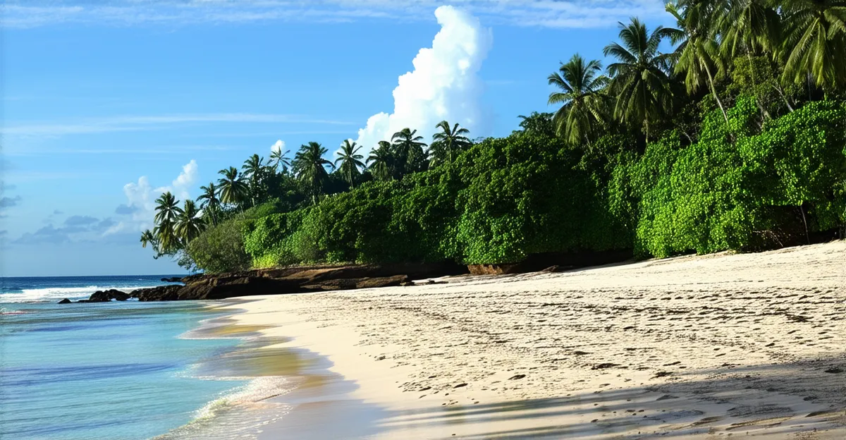 Unawatuna Itinerary: 3 Days of Island Bliss