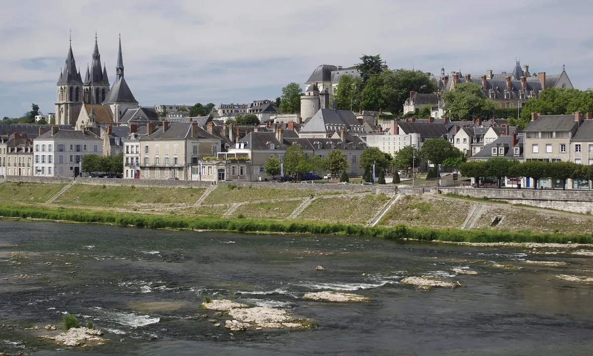 Introduction to blois