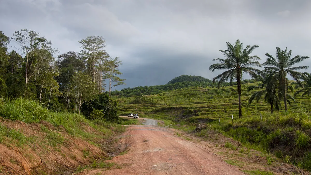 Borneo Wildlife Reserve