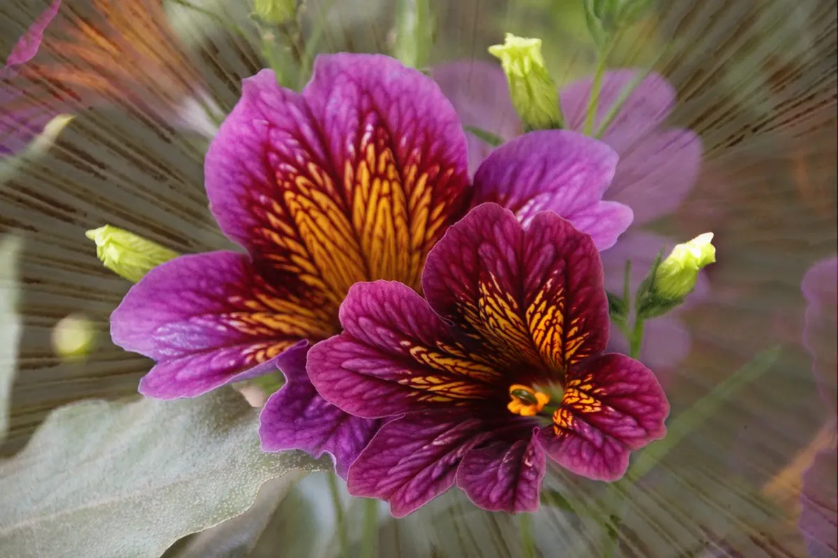 Botanical Gardens
