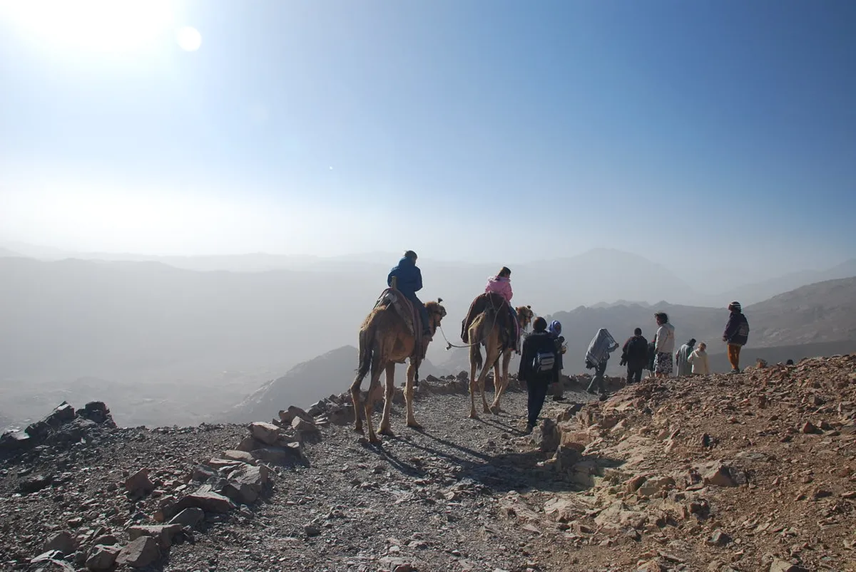 Camel and Mount Sinai