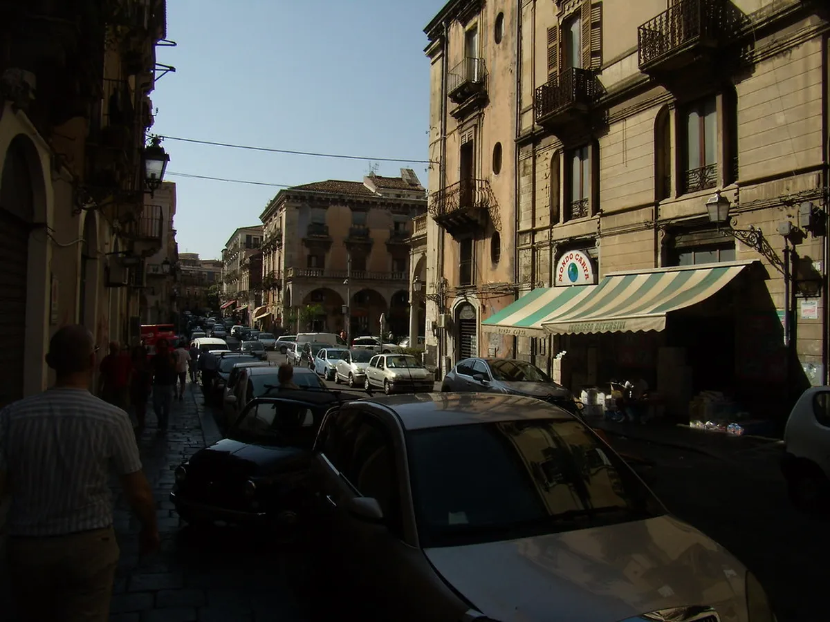Introduction to catania