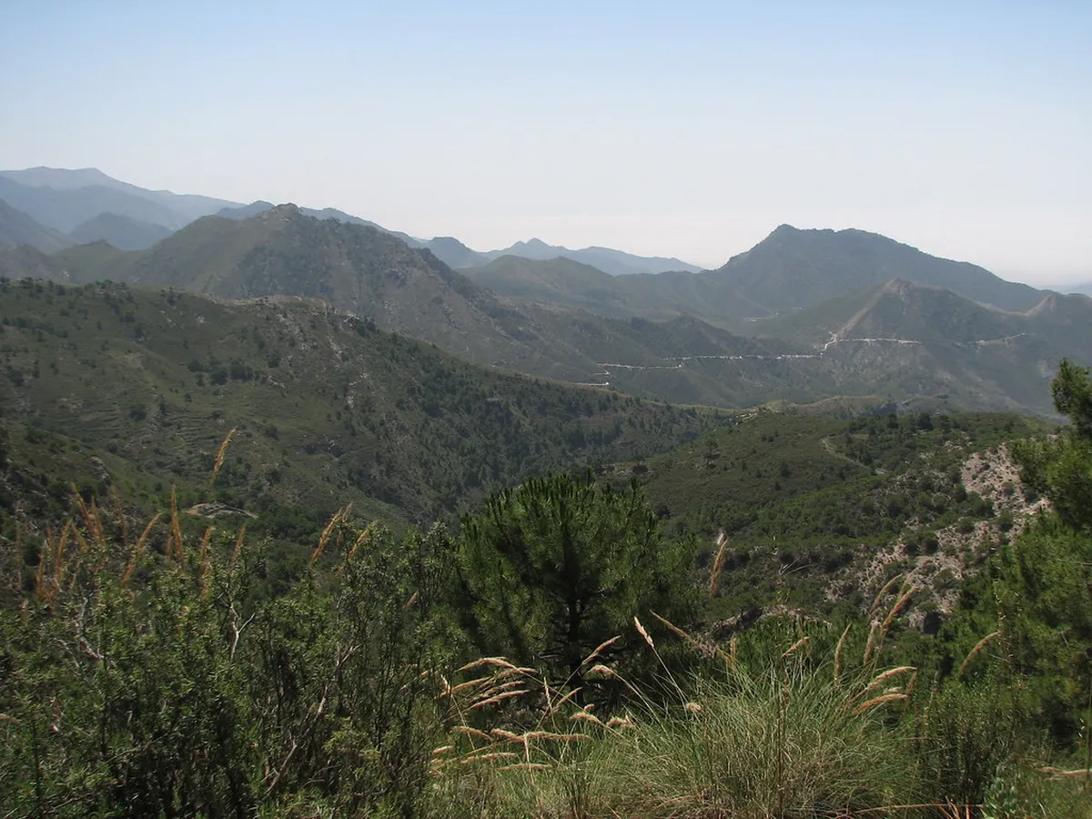 Cerro Verde