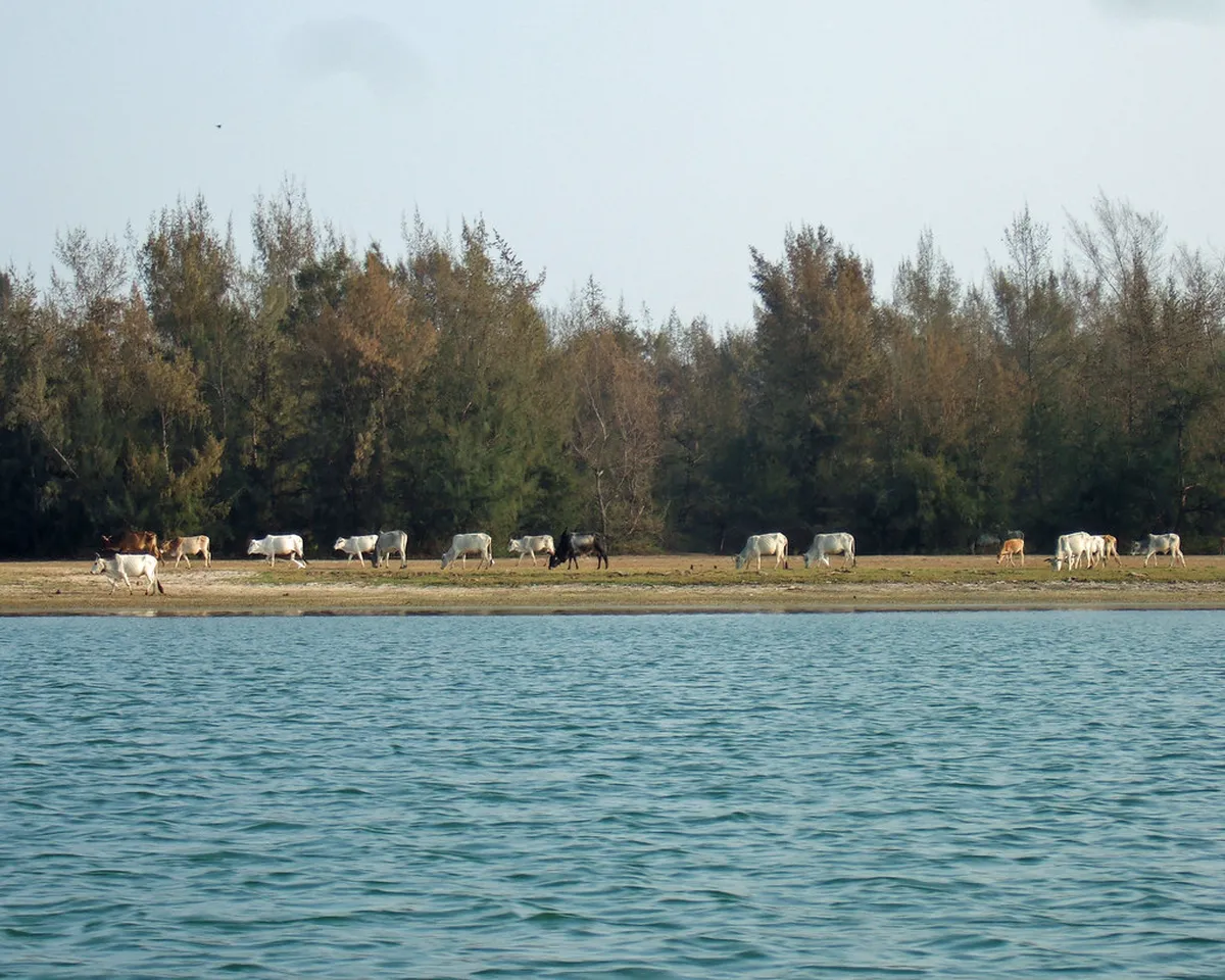 Chilika Lake