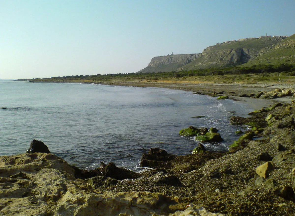 Coast