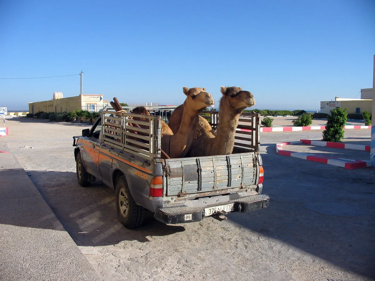 Introduction to dakhla