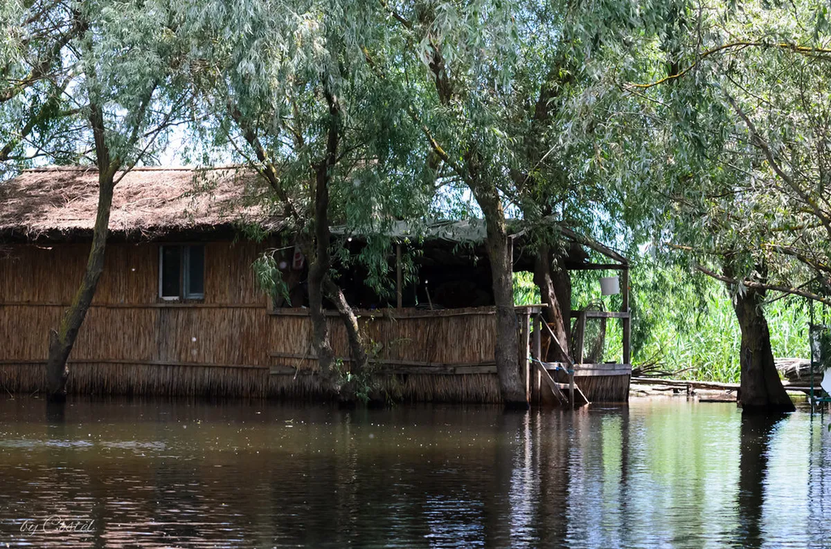 Danube Delta