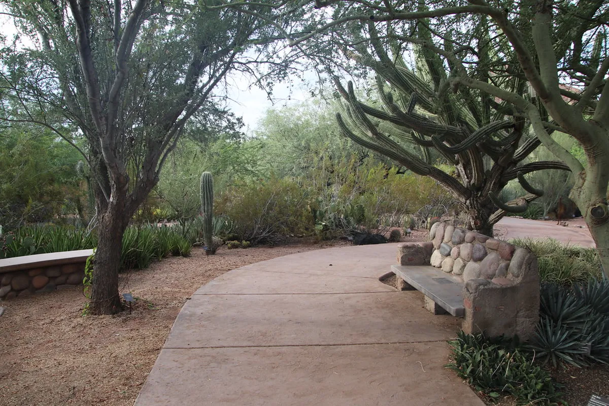 Desert Botanical Garden and Papago Park