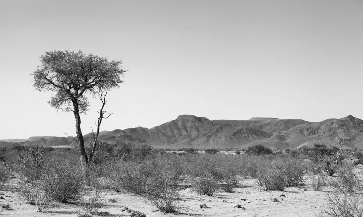 Desert