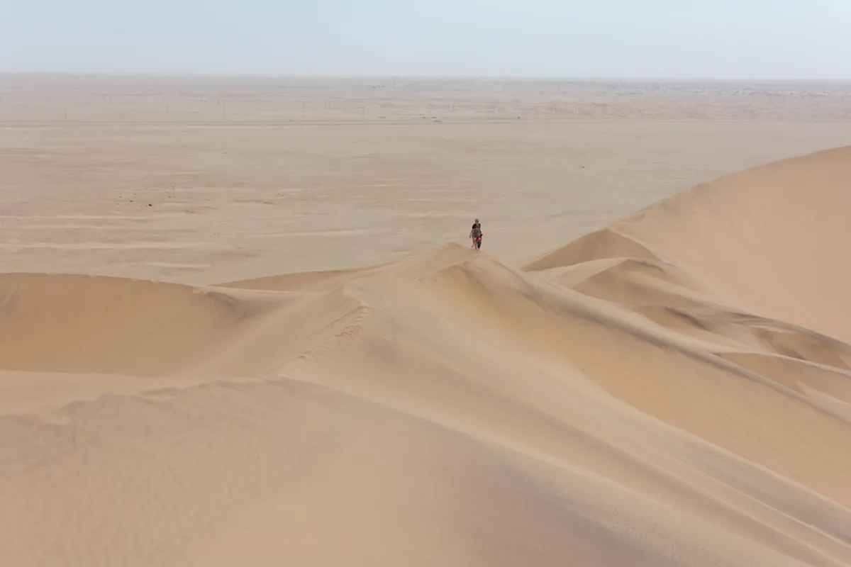 Dune 7