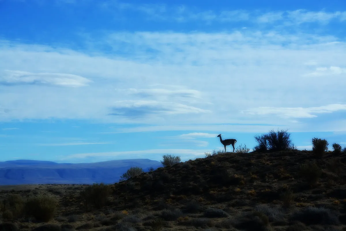 Introduction to el calafate
