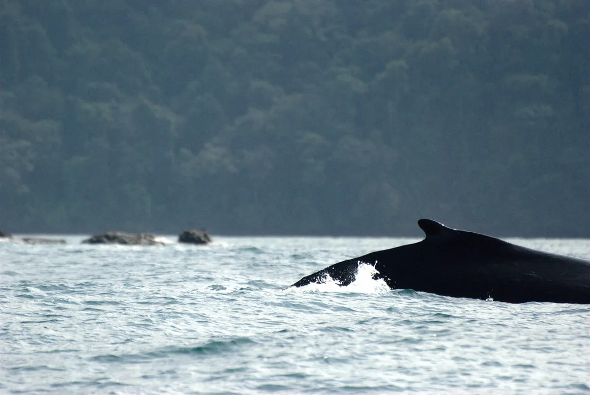 El Choco National Park