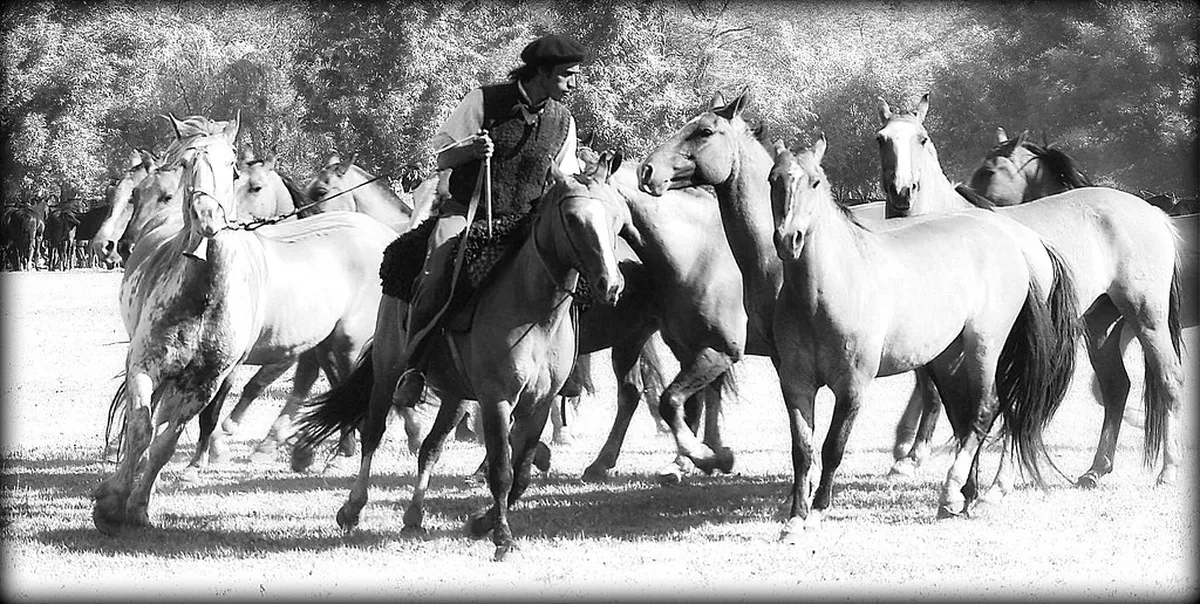 El Doradillo