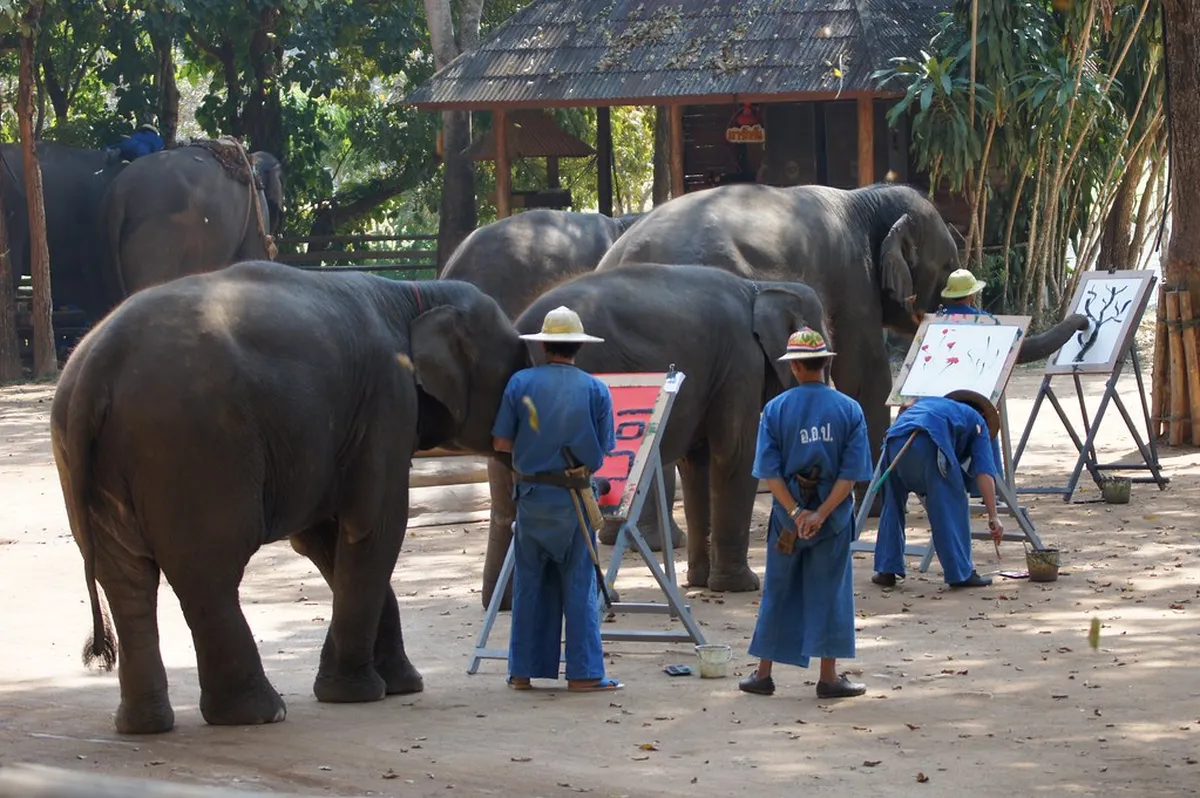 Elephant Conservation Centers
