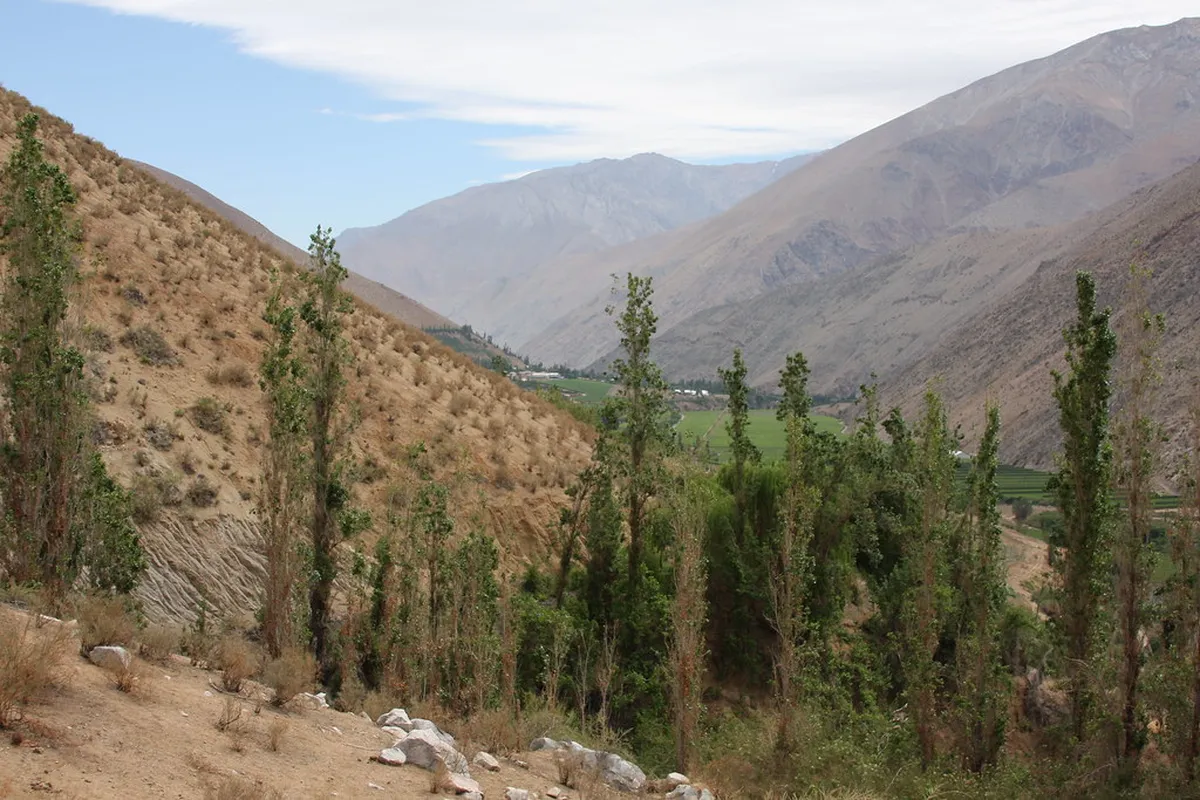 Elqui Valley