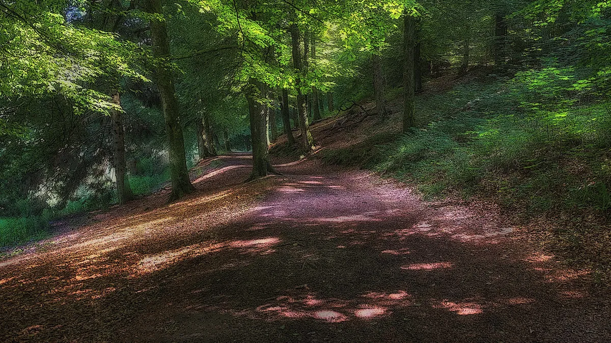 Forest Park