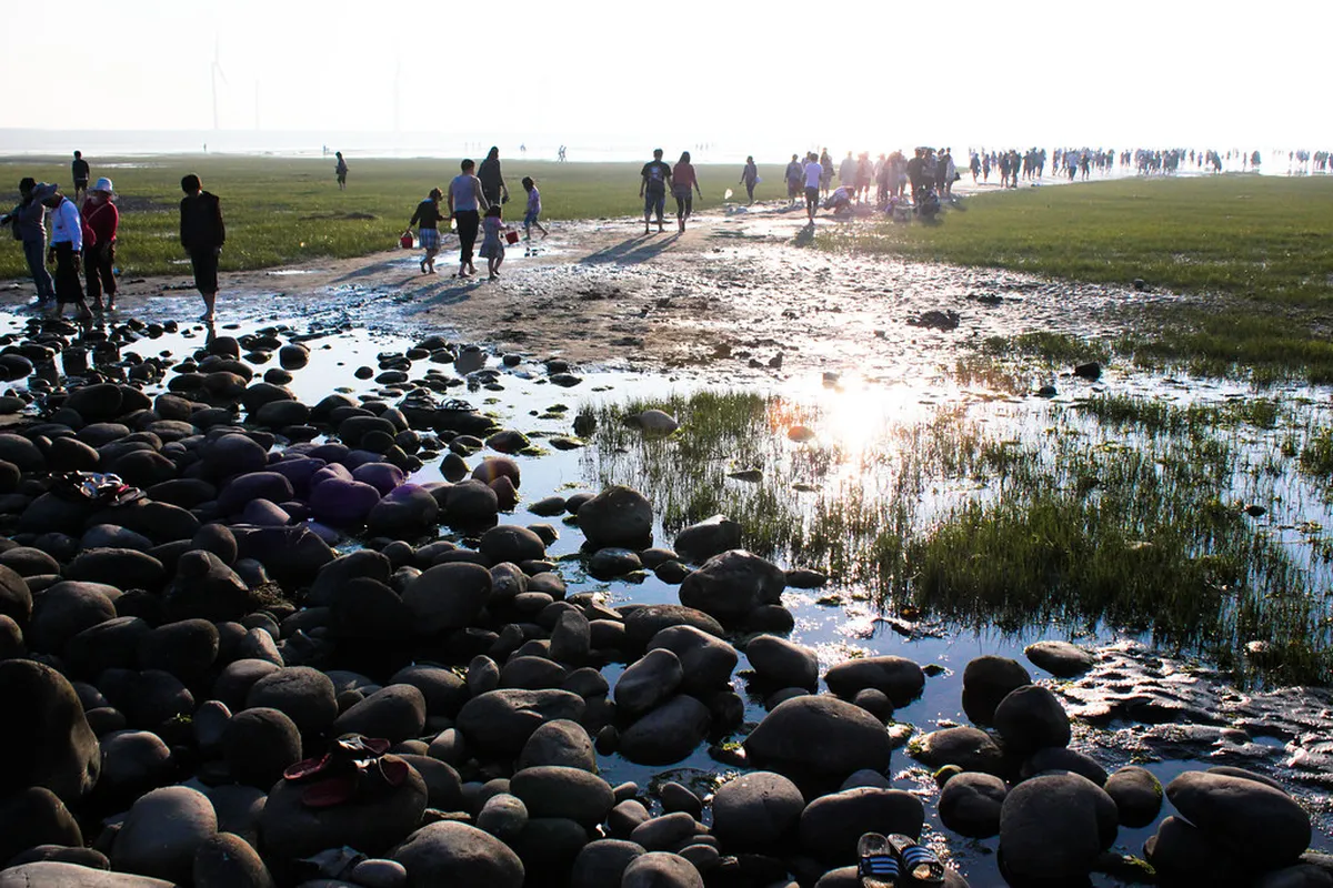 Gaomei Wetlands
