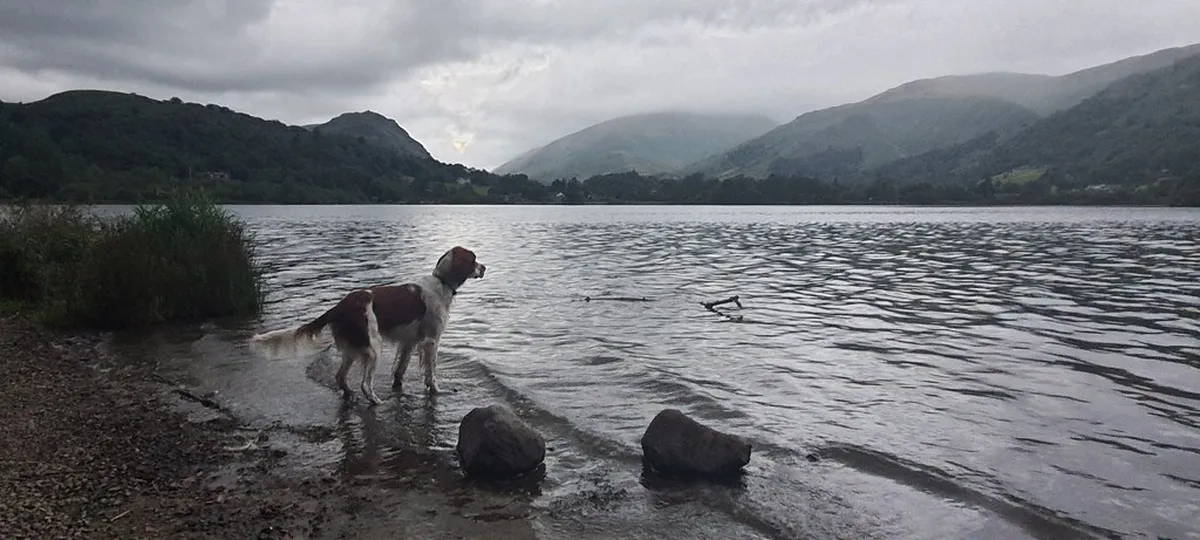 Grasmere