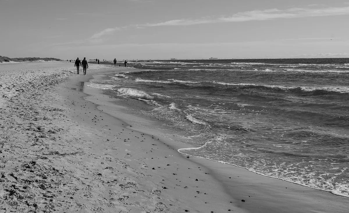 Grenen