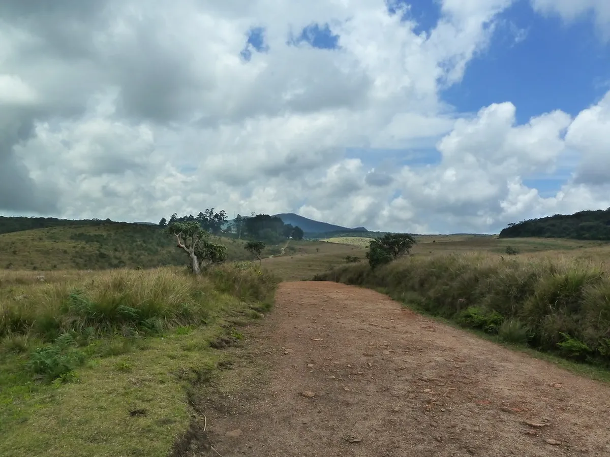 Horton Plains National Park