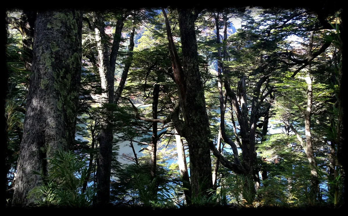 Huerquehue National Park