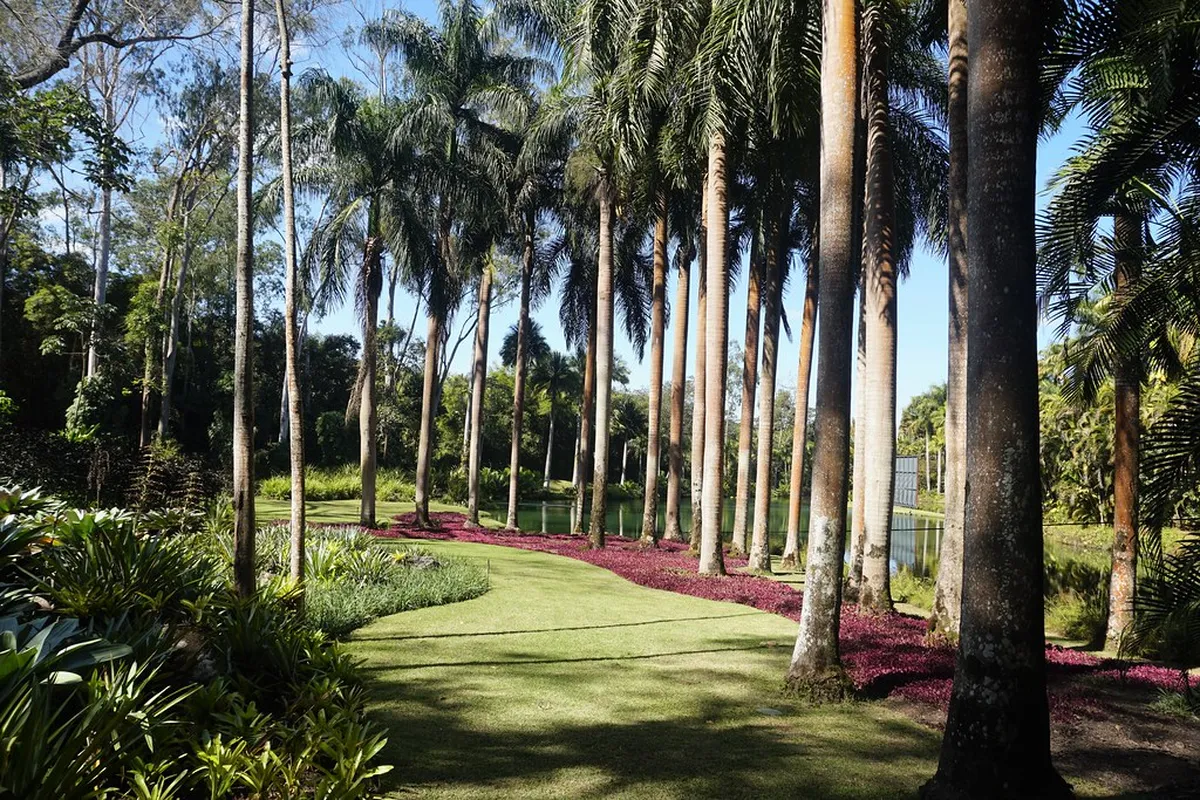 Inhotim Contemporary Art Institute