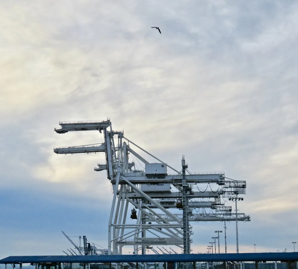 Jack London Square