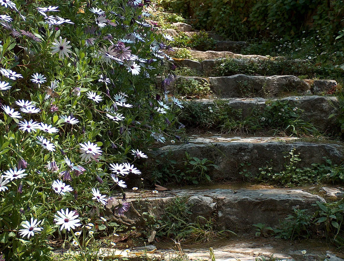 Jardins de Menton