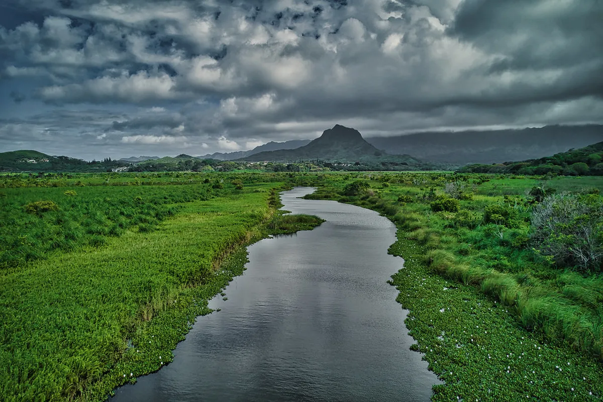 Kailua Town