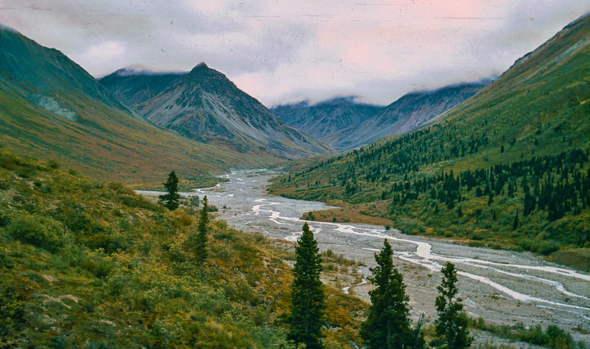 Kluane National Park