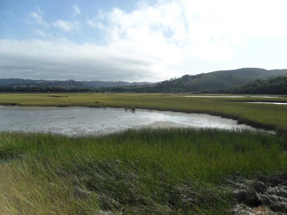 Knysna Lagoon