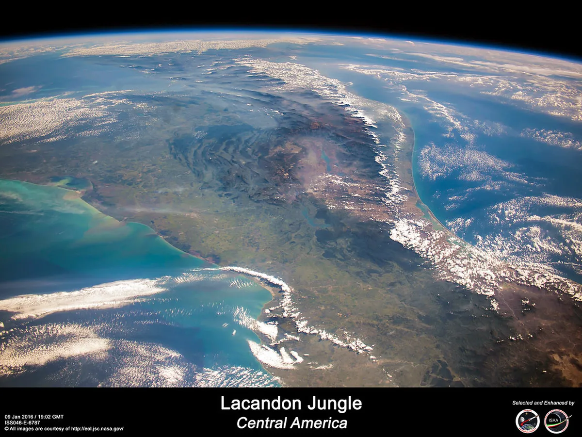 Lacandon Jungle