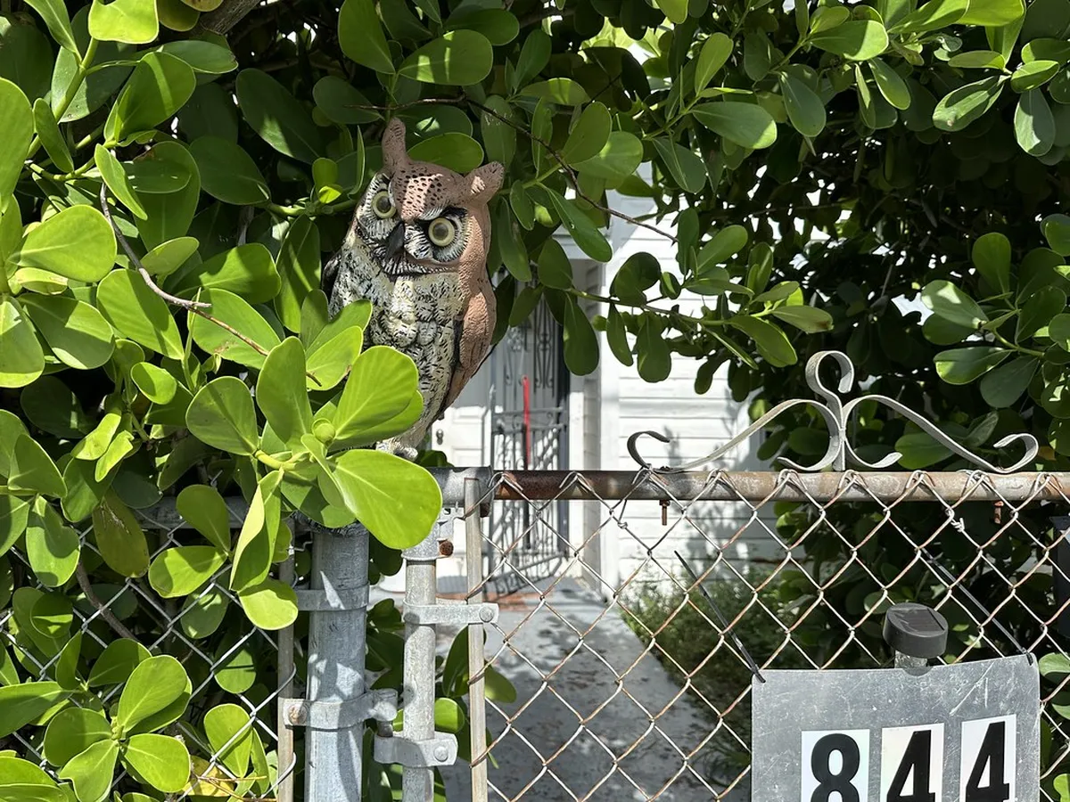 Little Havana