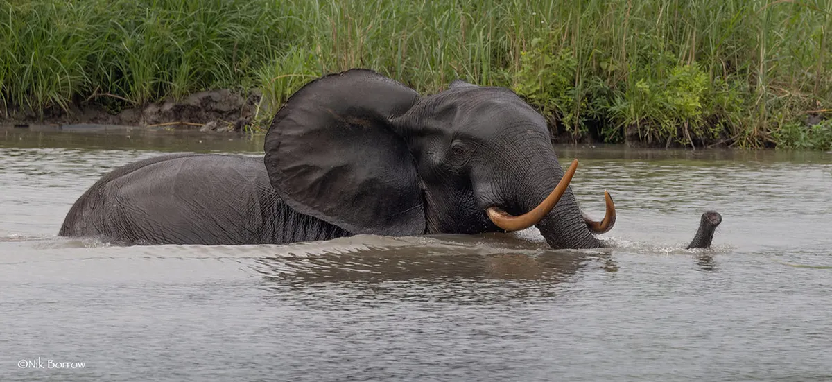 Loango National Park