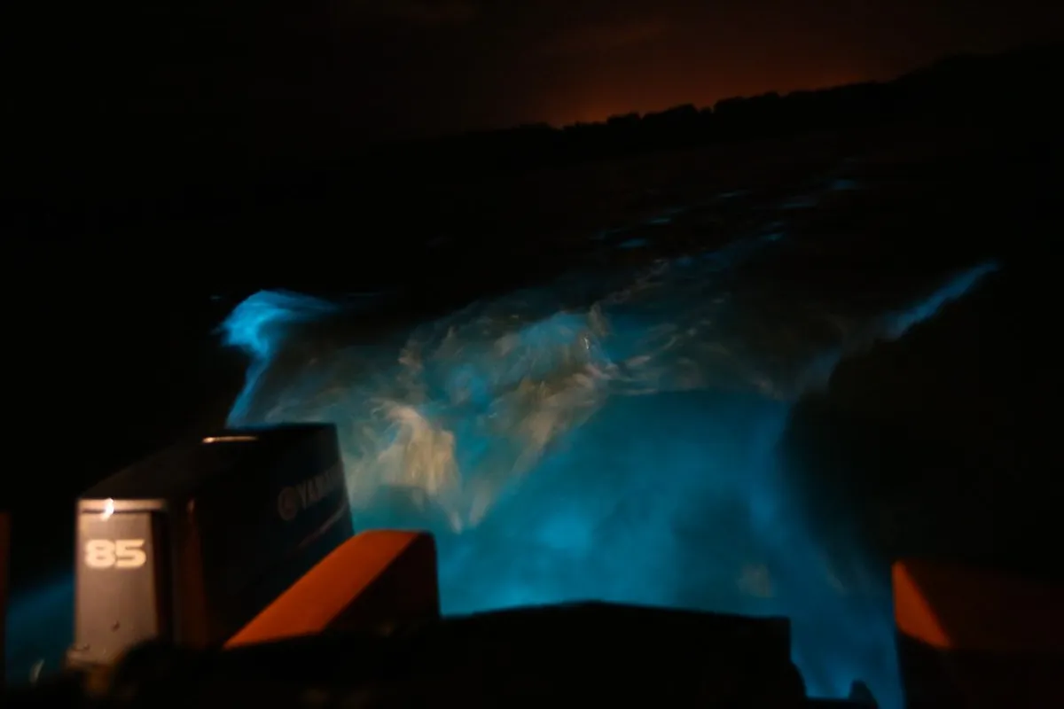 Luminous Lagoon