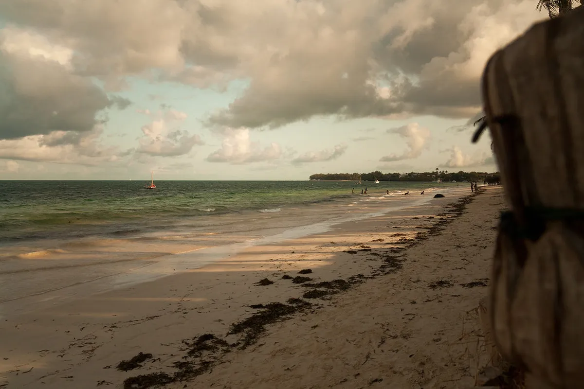 Introduction to malindi