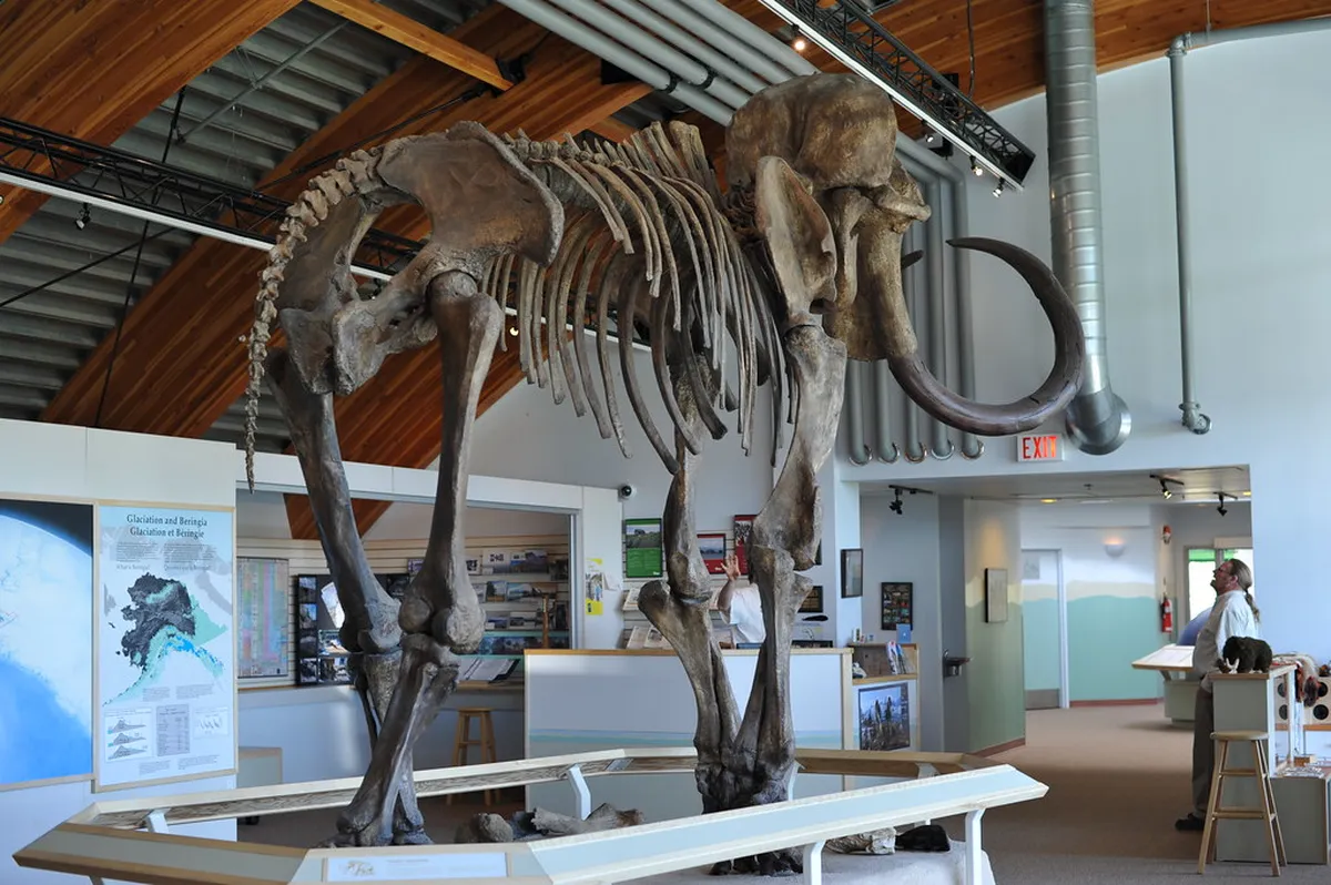 Mammoth